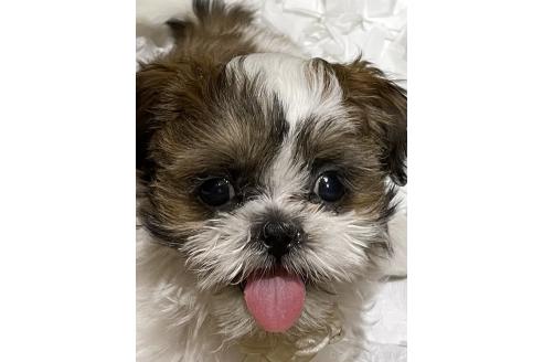 あいらちゃん1枚目