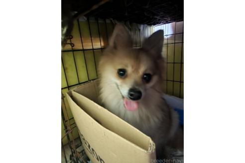 あいちゃん1枚目