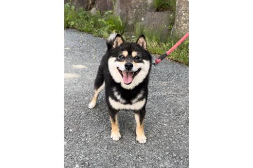 ふくくん1枚目