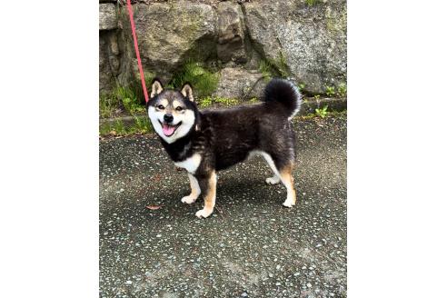 おはつちゃん1枚目