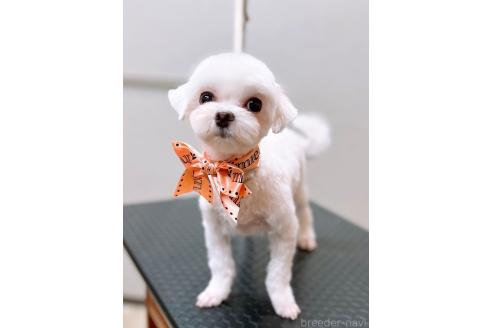 きいちゃん1枚目