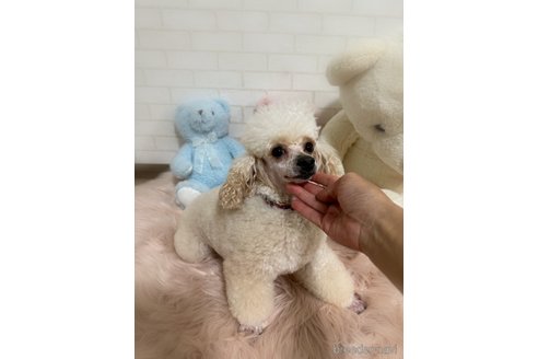 ノアちゃんちゃん1枚目
