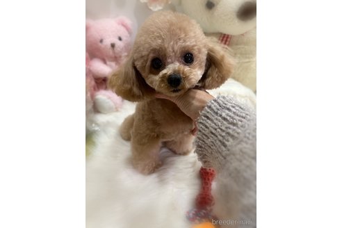 雪ちゃん❄️ちゃん1枚目