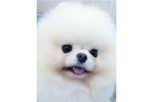 くん1枚目
