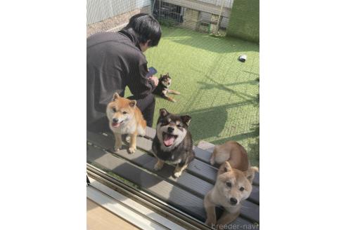 つむぎちゃん1枚目