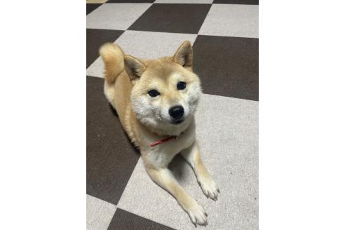 つむぎちゃん1枚目