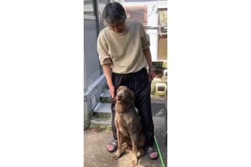 ディランくん1枚目