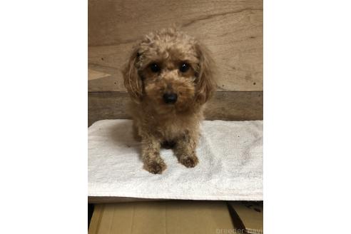 なぎちゃんちゃん1枚目
