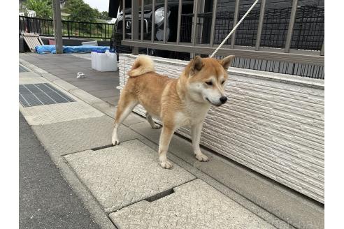 ちゃん1枚目
