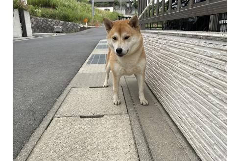 ちゃん1枚目