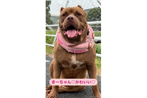 キティ♡ちゃん1枚目