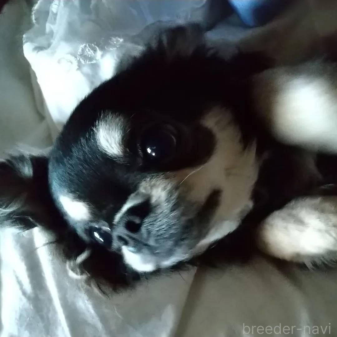 ママちゃん1枚目