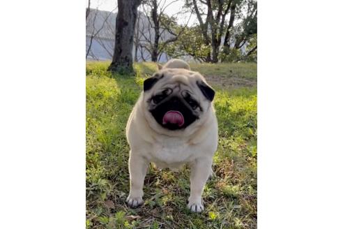 ルシータちゃん1枚目