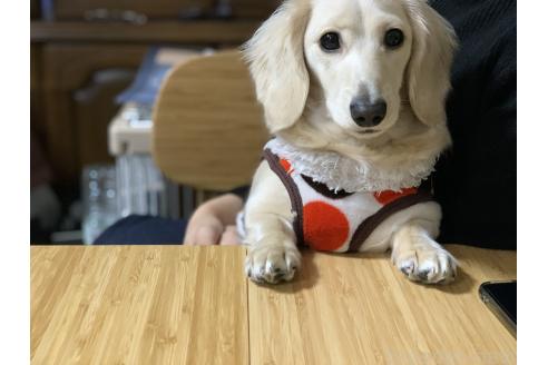 レミまるちゃん1枚目