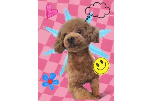 くん1枚目