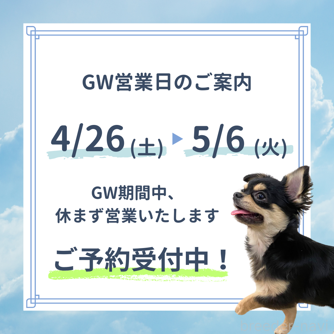 成約済の埼玉県のタイニープードル-376729の3枚目