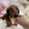 オンライン見学