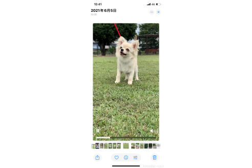 ファナちゃん1枚目