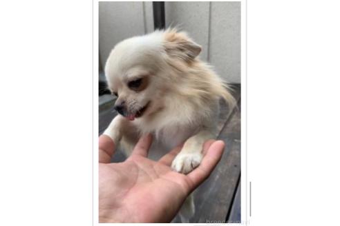 くん1枚目