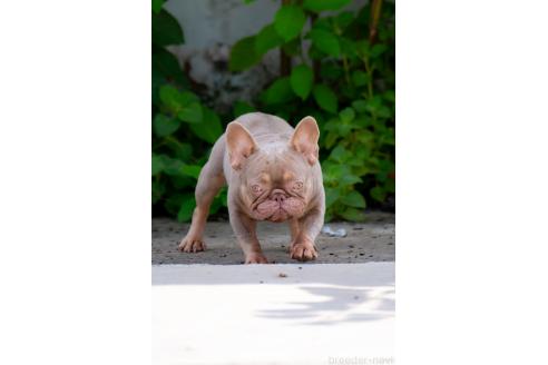 ちゃん1枚目