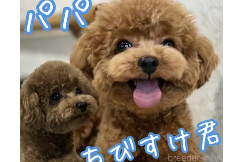 ちびすけくん1枚目
