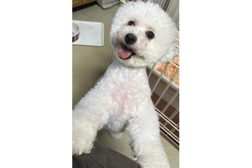 パールちゃん1枚目