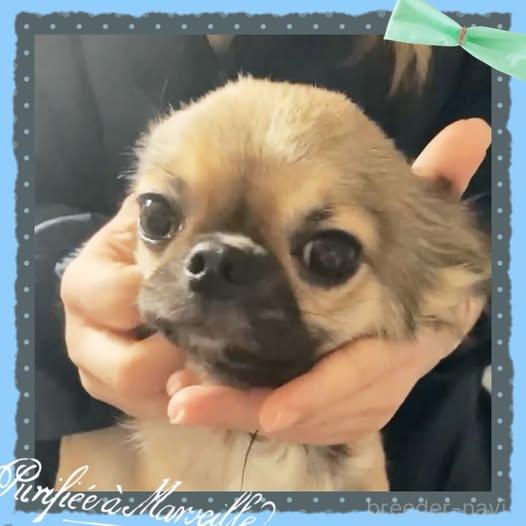 クウガ君です(*'▽')くん1枚目