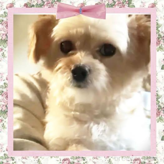 このはちゃん(*'▽')ちゃん1枚目
