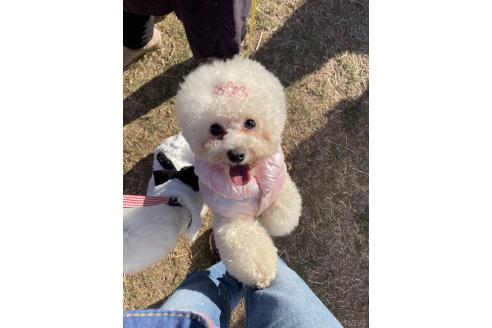 あさりちゃん1枚目