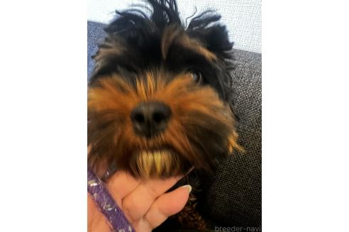ILIMAイリマちゃん1枚目
