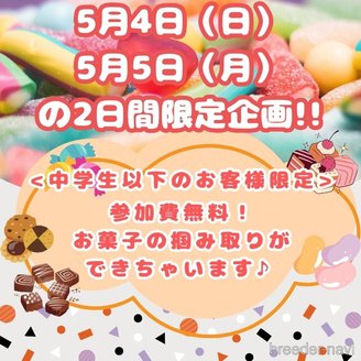 成約済の神奈川県のタイニープードル-384872の4枚目