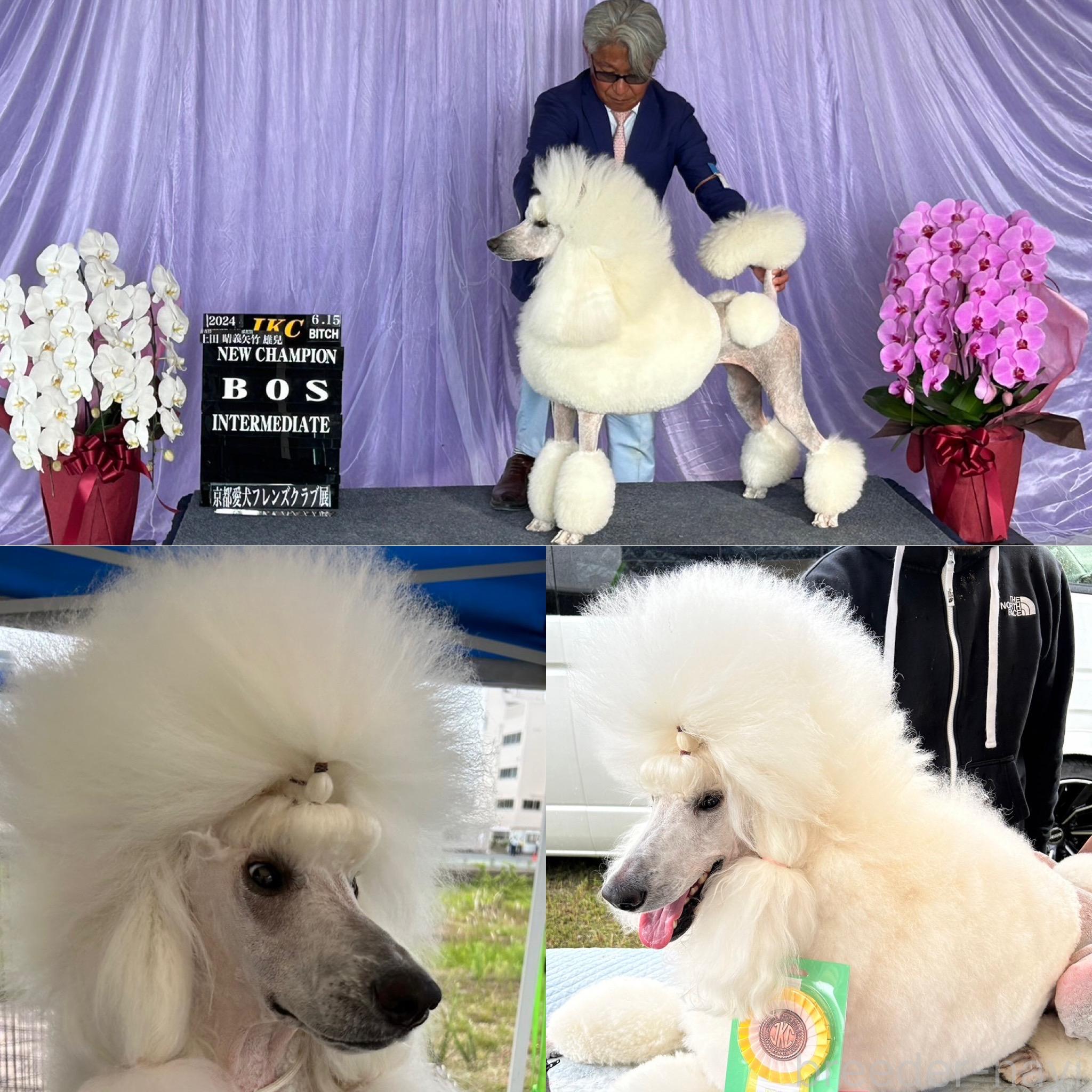 ちゃん1枚目