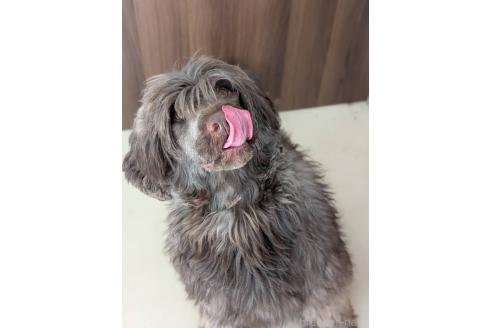ロロくん1枚目
