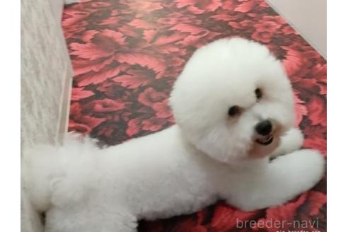チャンプくん1枚目