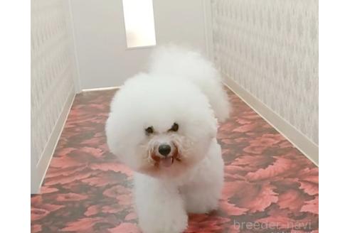 せつこちゃん1枚目