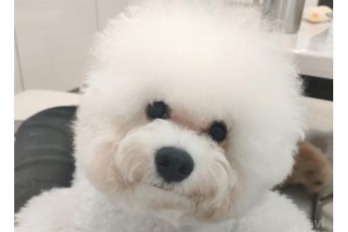 ローナちゃん1枚目