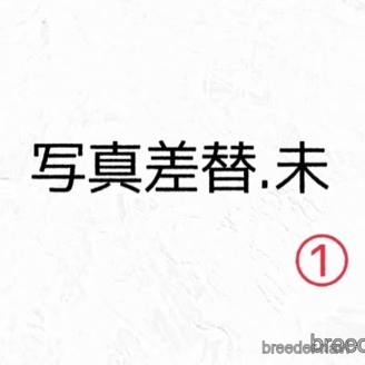 成約済の埼玉県のミックス犬-386422の9枚目