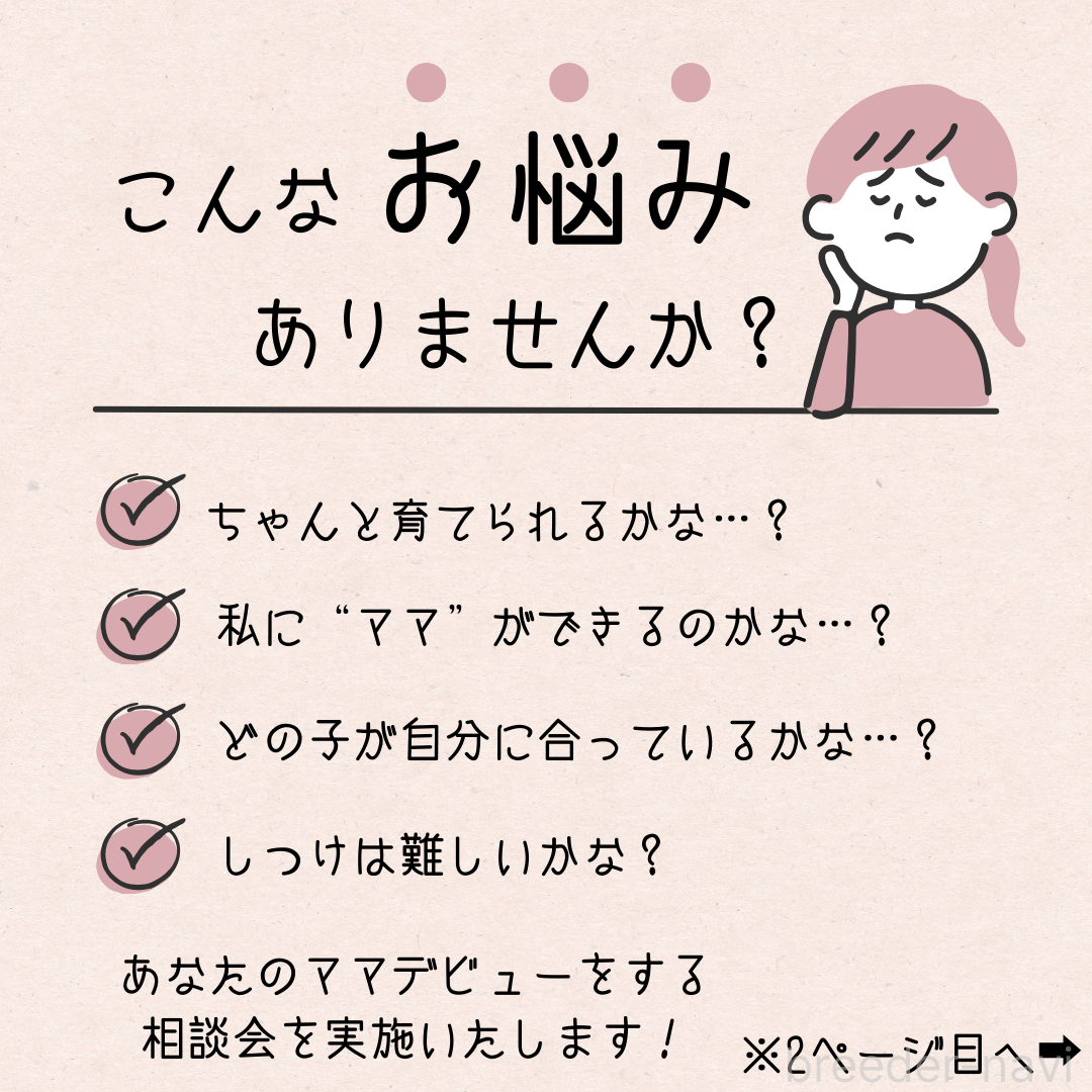 販売中の千葉県のトイプードル-380319の4枚目