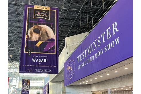 PEQUEST GERONIMO💜くん1枚目