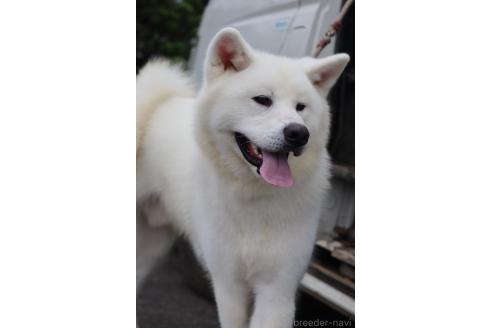 てんくんくん1枚目