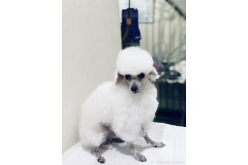 ちゃん1枚目