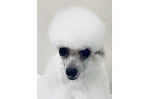 ちゃん1枚目