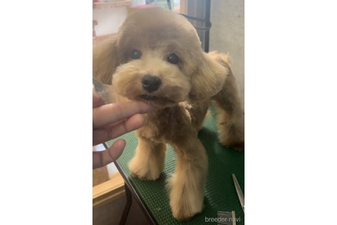 くん1枚目