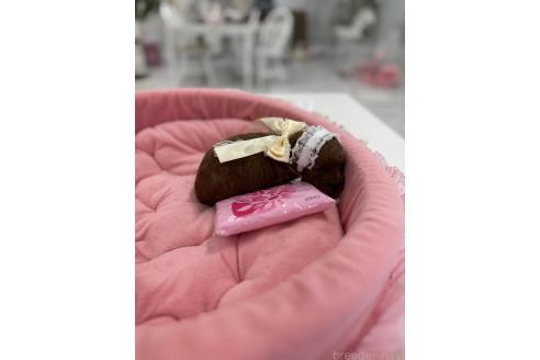 販売中の山梨県のティーカッププードル-387437の3枚目
