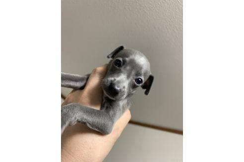 青たんちゃん1枚目