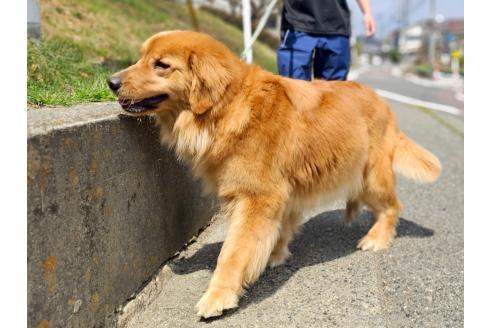 おかきちゃん1枚目