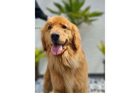 おかきちゃん1枚目