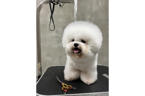 シャンシャンくん1枚目