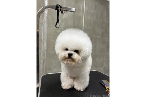 シャンシャンくん1枚目