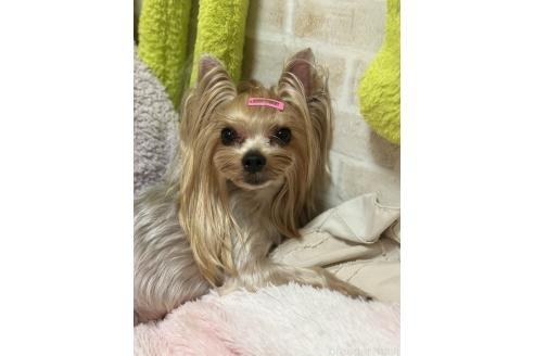 ちゃん1枚目